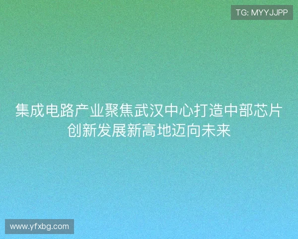 集成电路产业聚焦武汉中心打造中部芯片创新发展新高地迈向未来